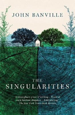 Banville John: The Singularities
