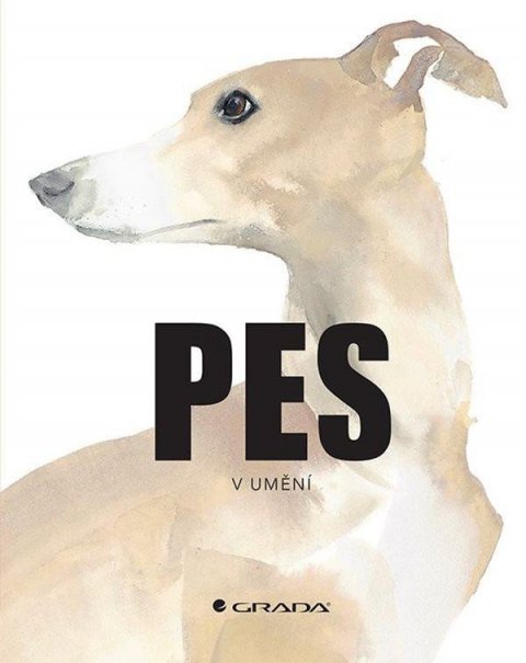 neuveden: Pes v umění