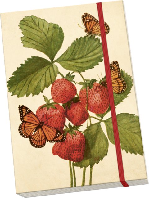 -: Notýsek Strawberry & Butterfly