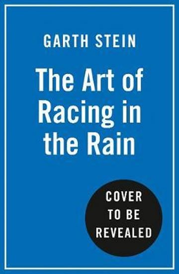 Stein Garth: The Art of Racing in the Rain