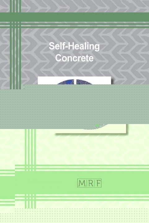 Fisher David: Self-Healing Concrete (Materials Research Foundations)