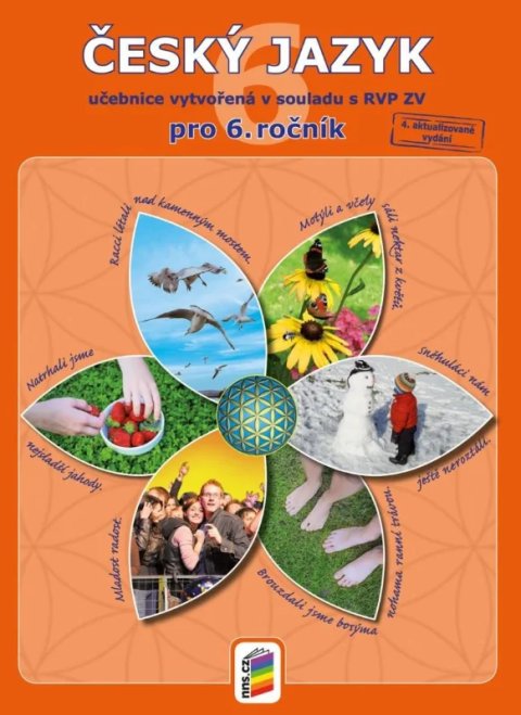 neuveden: Český jazyk 6 (učebnice)