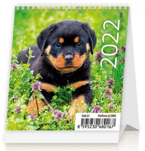 neuveden: Kalendář stolní 2022 - Mini Puppies