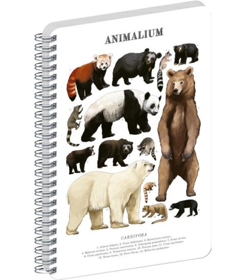 : Spirálový blok Animalium - Medvědovité šelmy, čistý, A5