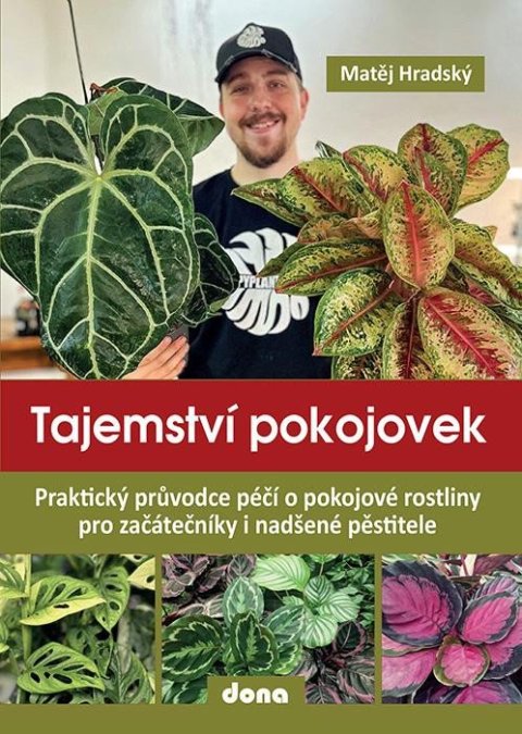 Hradský Matěj: Tajemství pokojovek - Praktický průvodce péčí o pokojové rostliny pro začát