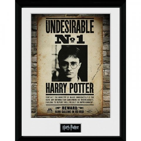 neuveden: Harry Potter Zarámovaný plakát - Nežádoucí č. 1