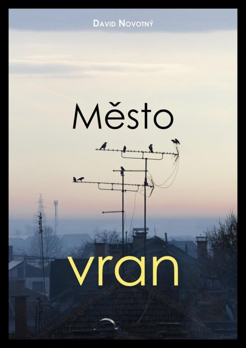 Novotný David: Město vran Novotný David: Město vran