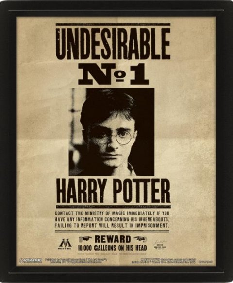 neuveden: Harry Potter: Obraz 3D - Sirius Black