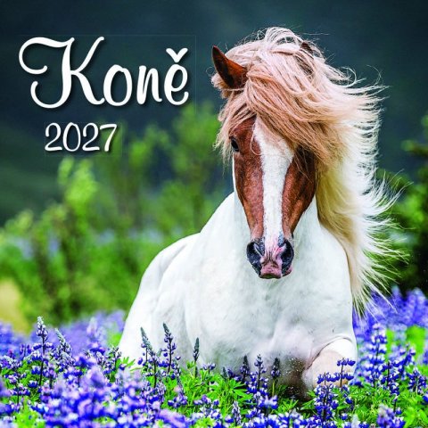 : Kalendář 2027 nástěnný: KONĚ