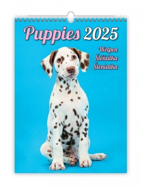 neuveden: Kalendář nástěnný 2025 - Puppies / Welpen / Štěňátka / Šteniatka
