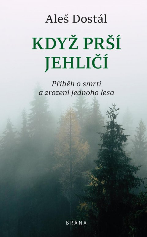 Dostál Aleš: Když prší jehličí Dostál Aleš: Když prší jehličí