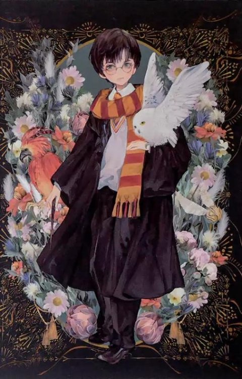neuveden: Harry Potter zápisník A5 - Harry Potter
