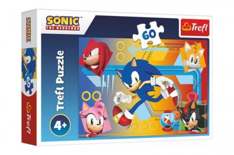 neuveden: Puzzle Sonic v akci 60 dílků