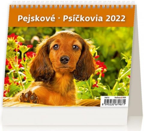neuveden: Kalendář stolní 2022 - MiniMax Pejskové/Psíčkovia