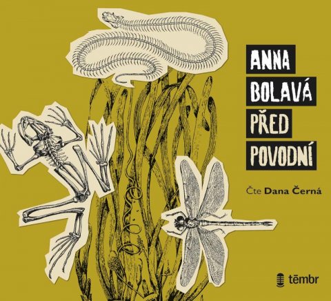 Bolavá Anna: Před povodní - audioknihovna