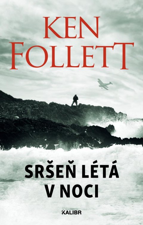 Follett Ken: Sršeň létá v noci Follett Ken: Sršeň létá v noci