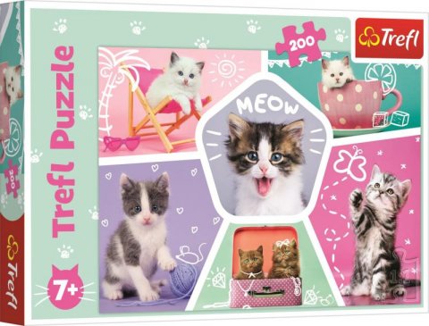 neuveden: Trefl Puzzle Roztomilá koťata / 200 dílků