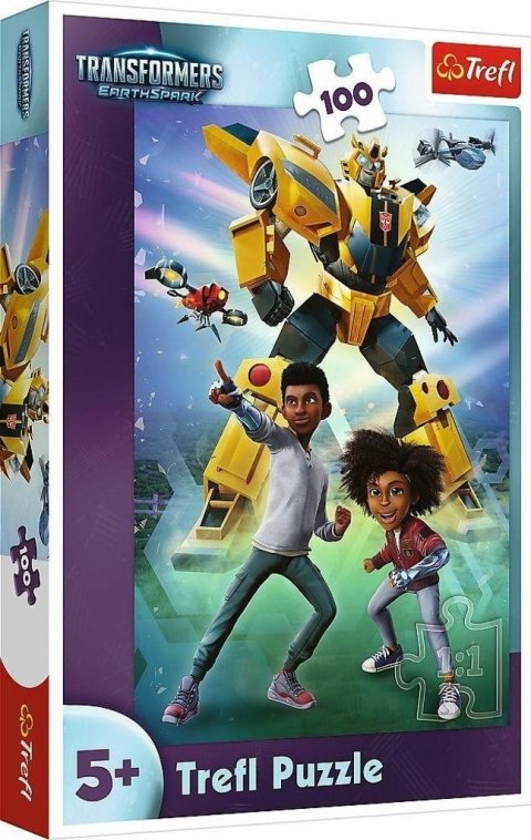 neuveden: Puzzle Transformers 100 dílků