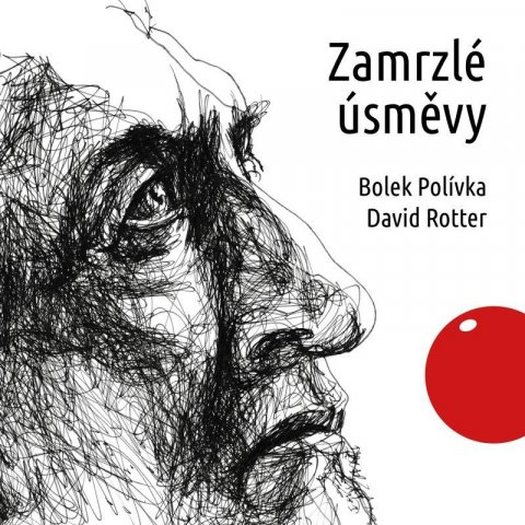 Rotter David: Zamrzlé úsměvy - audioknihovna