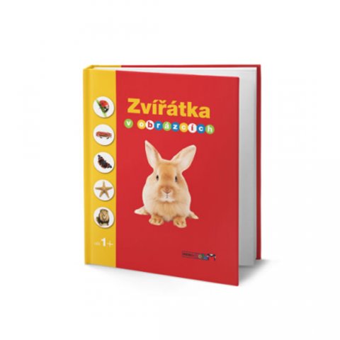 neuveden: Zvířátka v obrázcích neuveden: Zvířátka v obrázcích