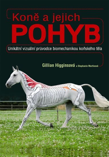 Higginsová Gillian: Koně a jejich pohyb