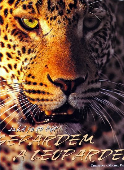 Denis-Huot Michel: Jaké je to být Gepardem a Leopardem Denis-Huot Michel: Jaké je to být Gepardem a Leopardem