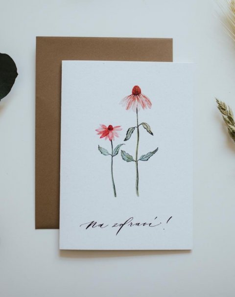 neuveden: Be Nice EKO Přání Na zdraví