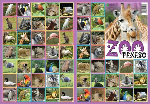 neuveden: Pexeso - ZOO