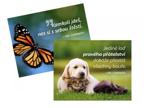 Chinmoy Sri: Magnet na lednici 2 ks Kamkoli jdeš + Jedině loď