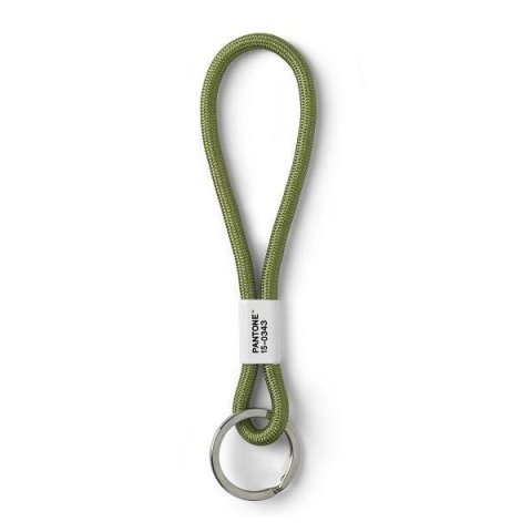 neuveden: Pantone Poutko na klíče S - Green 15-0343