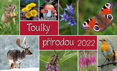 neuveden: Kalendář 2022 - Toulky přírodou, stolní