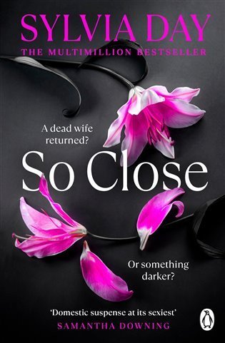 Day Sylvia: So Close: The unmissable Sunday Times bestseller