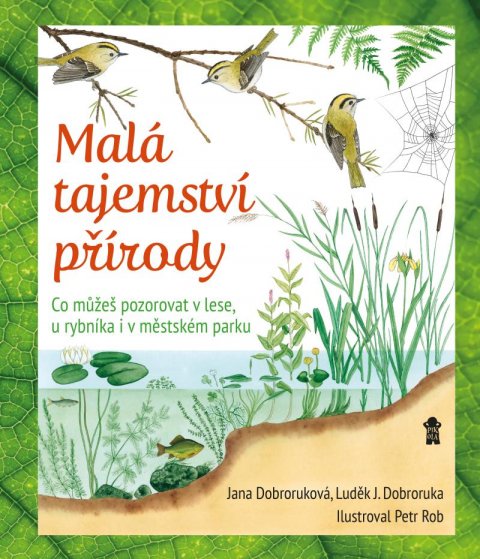 Dobroruka Luděk Jindřich: Malá tajemství přírody: Co můžeš pozorovat v lese, u rybníka i v městském p