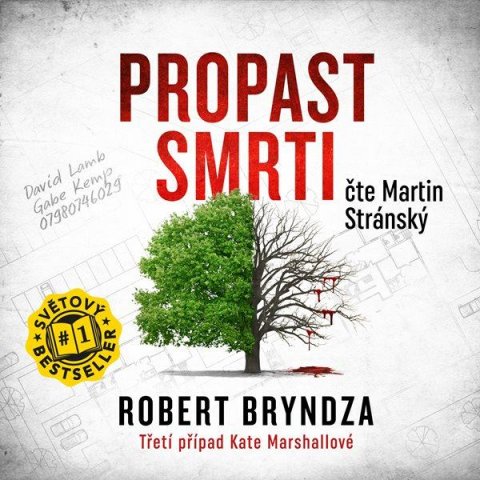 Bryndza Robert: Propast smrti - CDmp3 (Čte Martin Stránský) Bryndza Robert: Propast smrti - CDmp3 (Čte Martin Stránský)