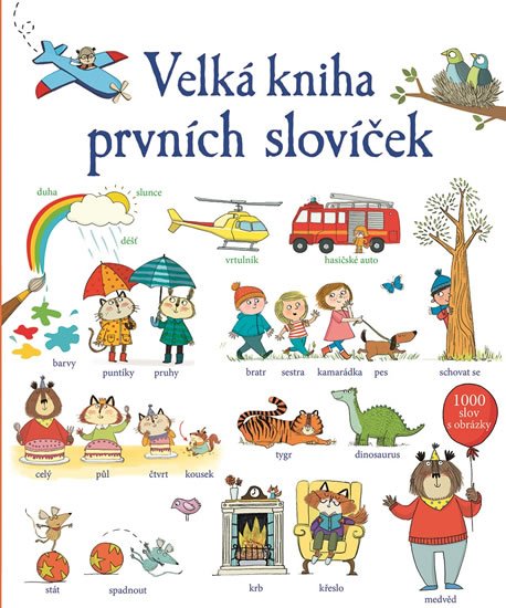 Mackinnon Mairi: Velká kniha prvních slovíček