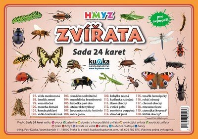 kolektiv autorů: Zvířata hmyz - Sada 24 karet