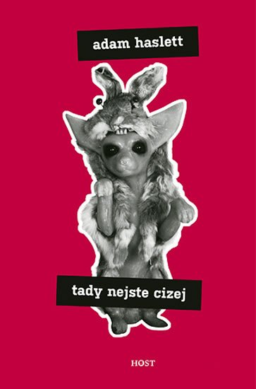Haslett Adam: Tady nejste cizej Haslett Adam: Tady nejste cizej