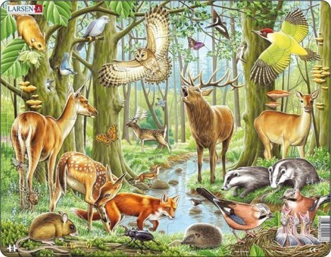 neuveden: Puzzle MAXI - Evropský les/40 dílků