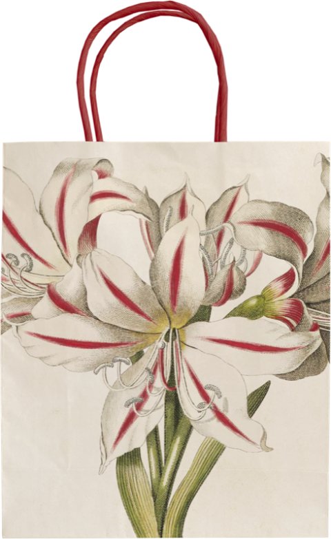 : Dárková papírová taška - Green & White Christmas Amaryllis