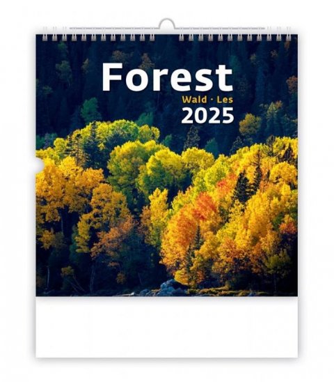 neuveden: Kalendář nástěnný 2025 - Forest / Wald / Les