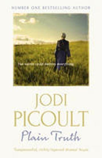 Picoultová Jodi: Plain Truth