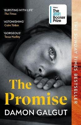 Galgut Damon: The Promise