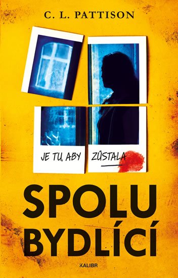 Pattison C. L.: Spolubydlící Pattison C. L.: Spolubydlící