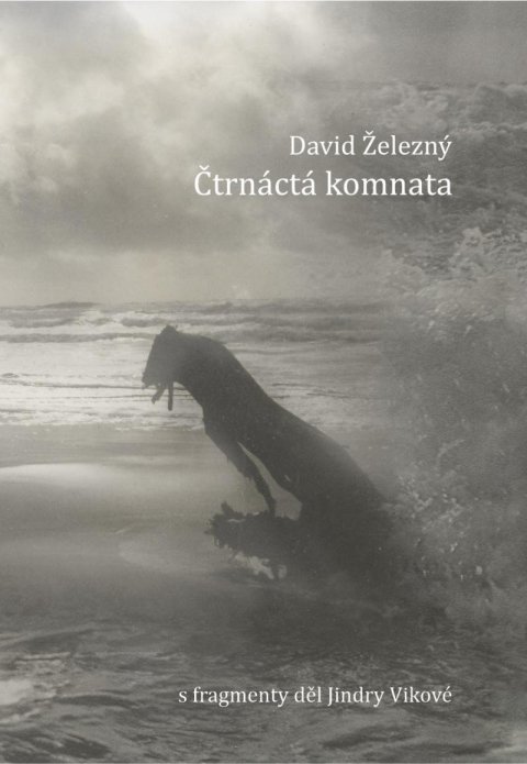 Železný David: Čtrnáctá komnata