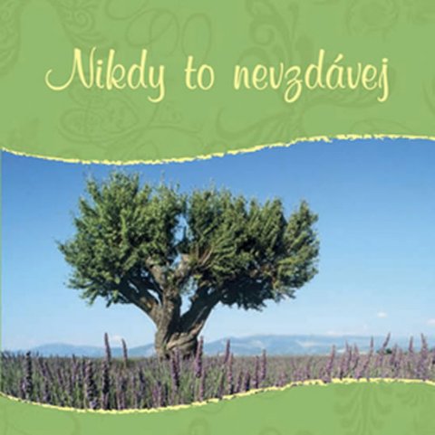 neuveden: Nikdy to nevzdávej neuveden: Nikdy to nevzdávej