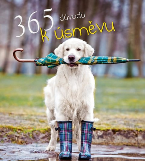 neuveden: 365 důvodů k úsměvu neuveden: 365 důvodů k úsměvu