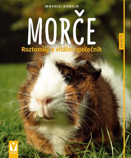Birmelin Immanuel: Morče - Roztomilý a vitální společník Birmelin Immanuel: Morče - Roztomilý a vitální společník