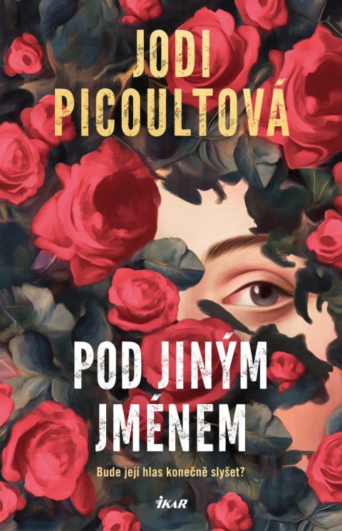 Picoultová Jodi: Pod jiným jménem