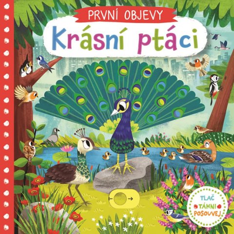 Chorkung: Krásní ptáci - První objevy Chorkung: Krásní ptáci - První objevy