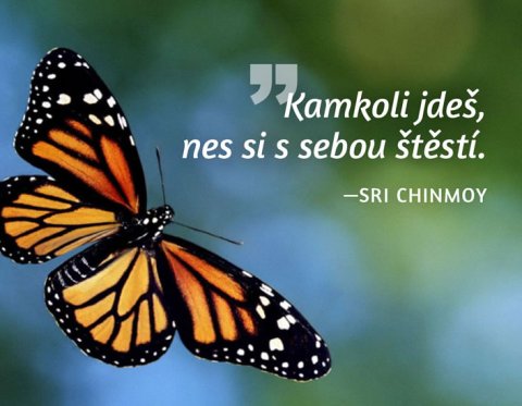 Chinmoy Sri: Magnet na lednici - Kamkoli jdeš, nes si s sebou štěstí. Chinmoy Sri: Magnet na lednici - Kamkoli jdeš, nes si s sebou štěstí.